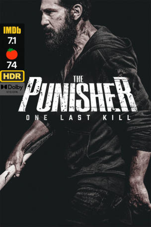 Punisher: One Last Kill