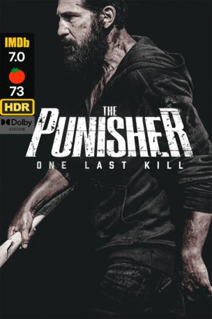Punisher: One Last Kill