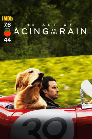 Art of Racing in the Rain