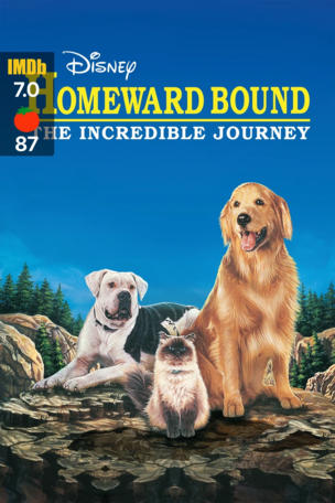 Homeward Bound: The Incredible Journey