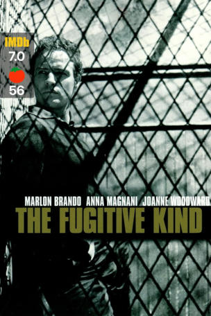 Fugitive Kind