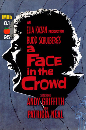 Face in the Crowd