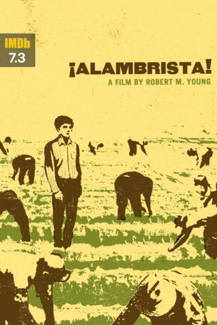 Alambrista!