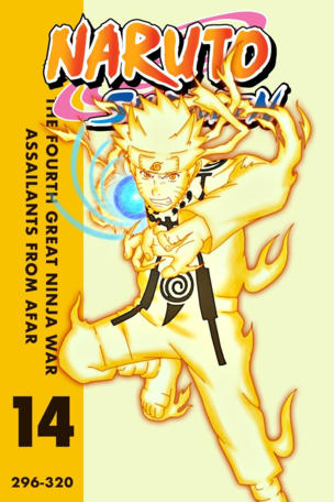 Naruto Shippūden_0014
