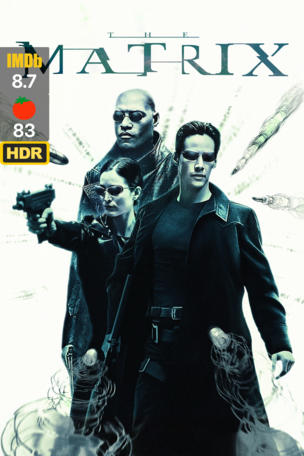 Matrix