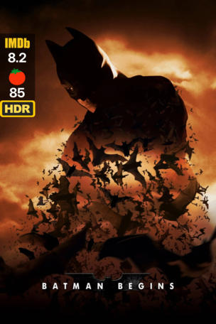 Batman Begins