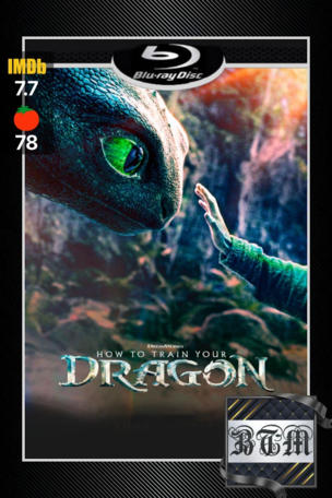 How to Train Your Dragon