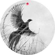 Twitched (Gayle San Remix)